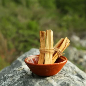 Palo Santo, Salvia, Ruda y Sal Marina